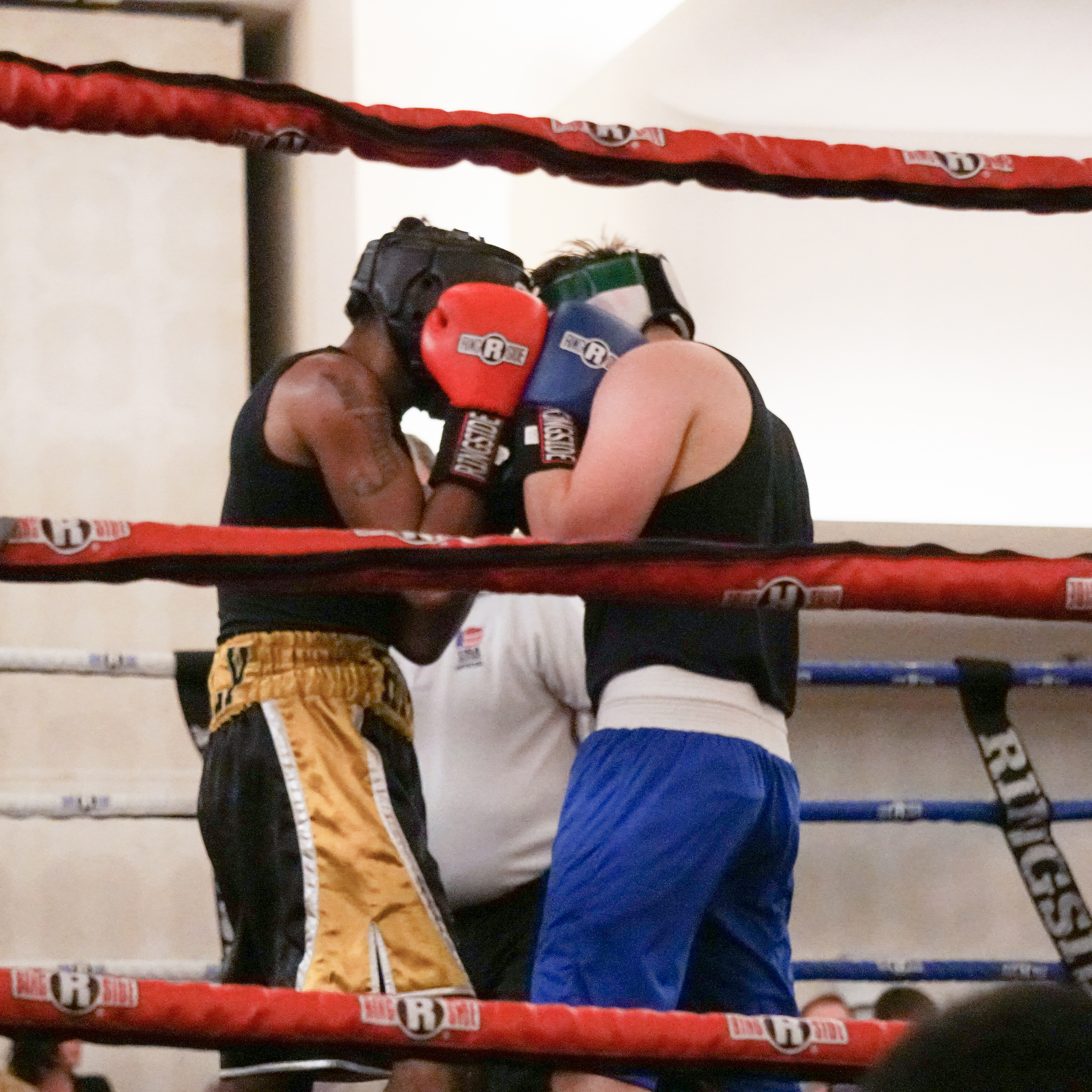 Boxer3638290945391669905638295337326590489